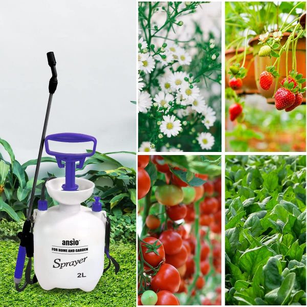 Garden Sprayer 2 litre Pressure Sprayer Pump Action, Weed Killer,Water Pump Sprayer, Ideal with Pesticides, Insecticides, Fungicides - Sprayer with Fiber Glass Lance