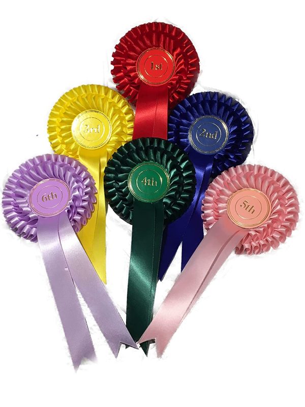 Champion grade 2 tier rosette, ribbon award in satin with Elizabethan pleat