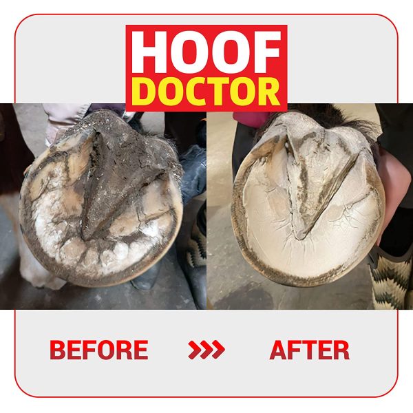 Hoof Doctor - White Line | Thrush | Abscesses | Quarter Crack | Seedy Toe | Corns and Sole Bruises - 100% All-Natural Hoof Care Product - Birch Bark Extract, Betulin, Omega-3 with Vits A & D (16 Oz) - Image 3