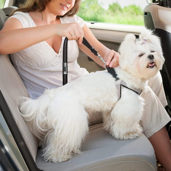 Seat Belt for dogs with Anti shock Bungee Buffer One of Important Car Travel Accessories for Dogs Adjustible, Elastic - Image 5