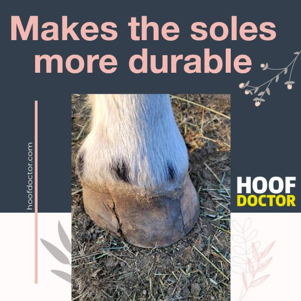 Hoof Doctor - White Line | Thrush | Abscesses | Quarter Crack | Seedy Toe | Corns and Sole Bruises - 100% All-Natural Hoof Care Product - Birch Bark Extract, Betulin, Omega-3 with Vits A & D (16 Oz) - Image 5