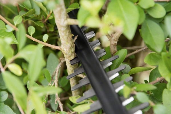 Cordless Hedge Trimmer AHS 50?C20 LI (1 battery, 18 volt system, stroke length: 20 mm, in carton packaging) - Image 4