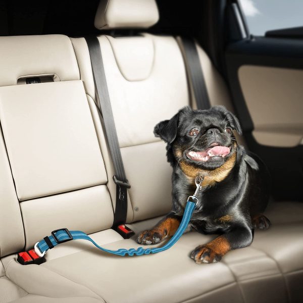 Seat Belt for dogs with Anti shock Bungee Buffer One of Important Car Travel Accessories for Dogs Adjustible, Elastic (Blue, 1 Pack) - Image 2