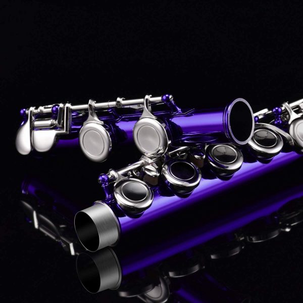 Eastar Flute Closed Hole 16 Key C Nickel Plated Beginner Flute Set With Carrying Case Stand Gloves Cleaning Rod and Cloth,Purple(EFL-1Pu?? - Image 6