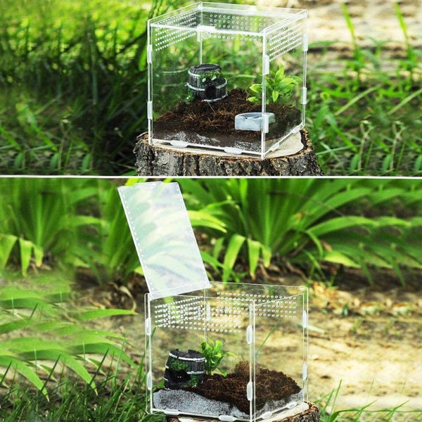 RunkeU Magnetic Transparent Reptile Insect Breeding Box/Acrylic Pet Climbing Terrarium/Spider Snake Scorpions Mantis Lizard Acrylic Breeding Tank/Reptile Lizard Incubation Box/Reptile Breeding Cage - Image 7