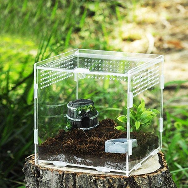 RunkeU Magnetic Transparent Reptile Insect Breeding Box/Acrylic Pet Climbing Terrarium/Spider Snake Scorpions Mantis Lizard Acrylic Breeding Tank/Reptile Lizard Incubation Box/Reptile Breeding Cage - Image 4