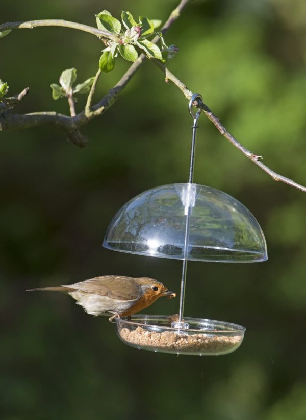 Clear Hanging Bird Feeder - I Love Robins Pearl Feeder with 15cm rain dome - attracts small garden birds. Fill with birdseed or mealworms - Image 5