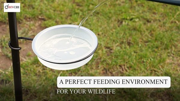 DIVCHI Bird Feeding Station Kit Bird Feeder Pole Wild Bird Feeder Hanging Kit Planter Hanger Multi Feeder Hanging with Metal Suet Feeder Bird Bath for Attracting Wild Birds