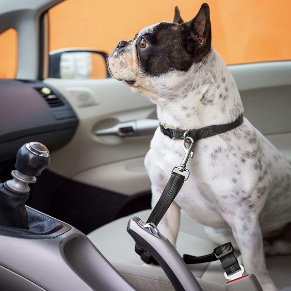 Seat Belt for dogs with Anti shock Bungee Buffer One of Important Car Travel Accessories for Dogs Adjustible, Elastic - Image 4