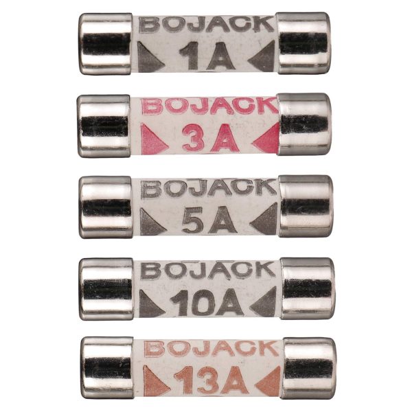 BOJACK 5 Values 100 pcs 1 3 5 10 13 A amp 240 V Volt Household Mains Plug Fuse 6.3x25 mm 0.25x1Inch BS1362 Ceramic Tube Cartridge Fuses Assortment Kit packag in a Clear Plastic Box