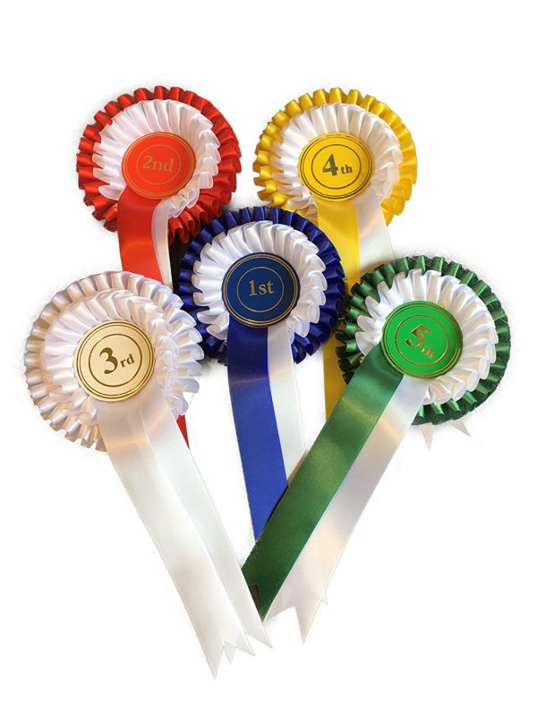 Champion grade 2 tier rosette, ribbon award in satin with Elizabethan pleat - Image 3