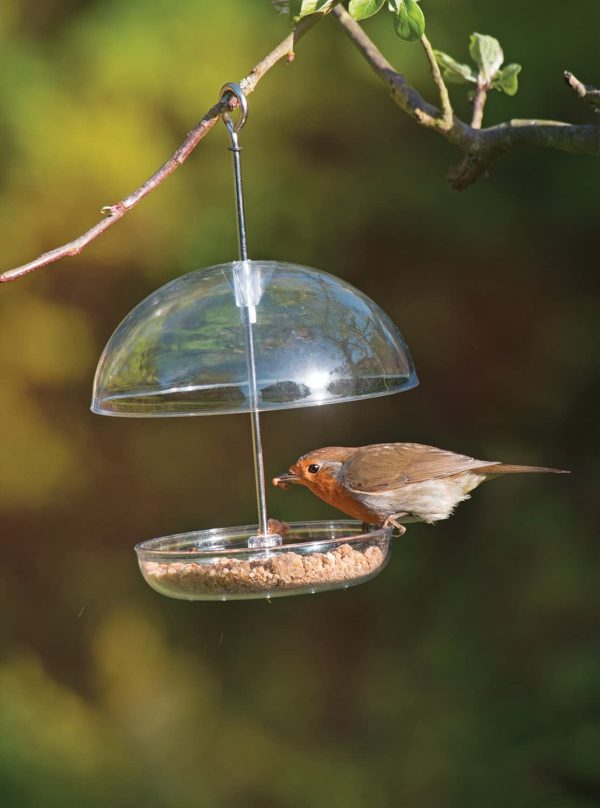 Clear Hanging Bird Feeder - I Love Robins Pearl Feeder with 15cm rain dome - attracts small garden birds. Fill with birdseed or mealworms - Image 4