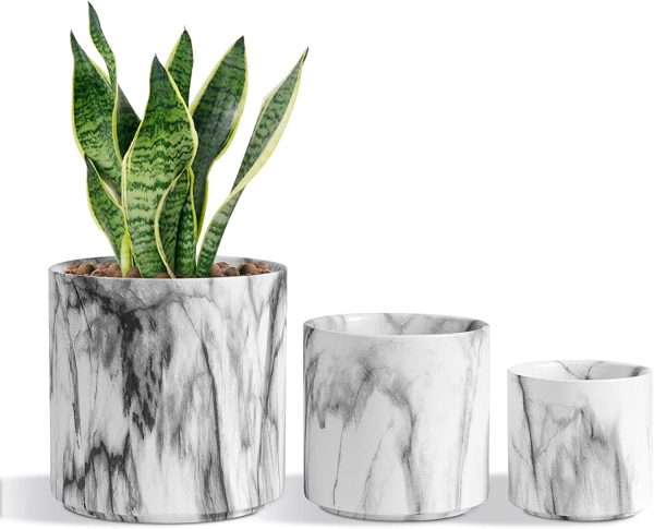 Marbling Ceramic Plant Pot Set of 3, Cylinder Black White Marbling Succulent Planter with Drainage, 6CM/8CM/10CM Stylish Flower Planter Holder Perfect for Cactus Herb Indoors Outdoors - Image 5