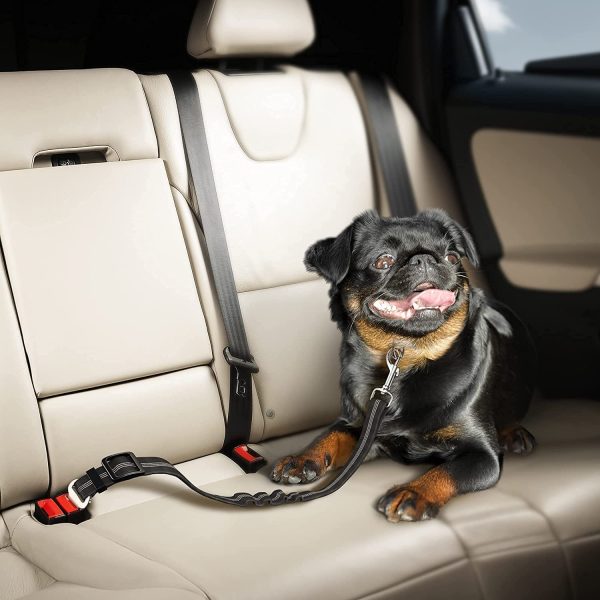 Seat Belt for dogs with Anti shock Bungee Buffer One of Important Car Travel Accessories for Dogs Adjustible, Elastic