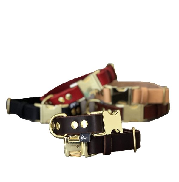 Quick Release Dog Collar in Brown Leather and Brass Hardware for Large and Medium Dogs, 2,5cm Wide Collar, Colorful Dog collar, Breakaway Dog Collar - Image 2