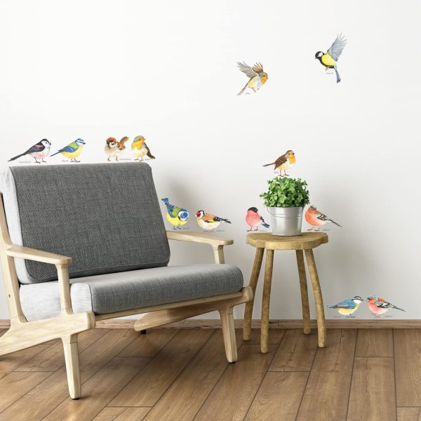 DS-8038 Little Birds Wall Art Stickers Colourful Flying British Birds Wall Decals Removable Garden Decorations Poster Bedroom Kitchen Living Room (Small)