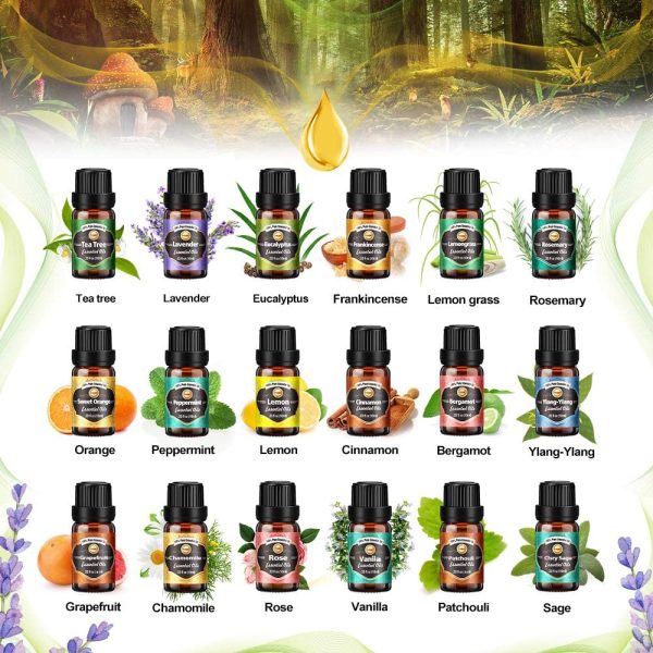 Essential Oils for Diffusers for Home, Diffuser Oil 18x10mL, Tea Tree, Lavender, Eucalyptus, Frankincense, Lemon Grass, Rosemary, Orange, Mint, Lemon, Cinnamon, Bergamot, Ylang-Ylang, Grapefruit, etc. - Image 2