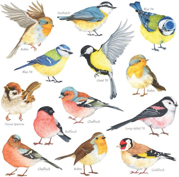 DS-8038 Little Birds Wall Art Stickers Colourful Flying British Birds Wall Decals Removable Garden Decorations Poster Bedroom Kitchen Living Room (Small) - Image 6