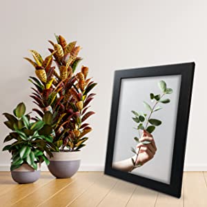 Modern Sleek A4 Photo Frame