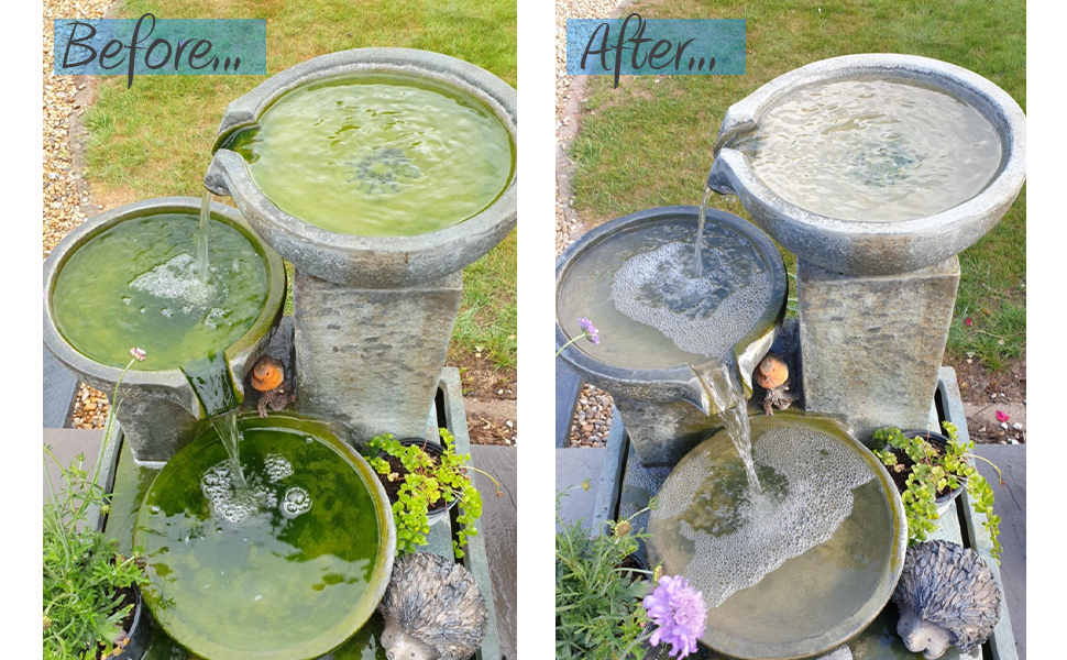 Fountain Clear Before after result