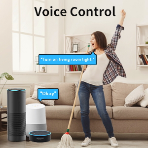 voice control