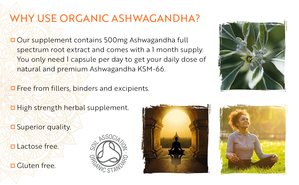 Ashwagandha