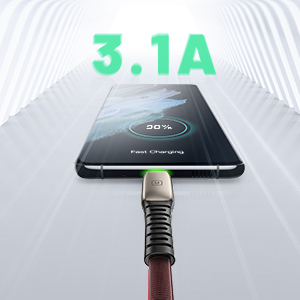 3.1A Fast Charge
