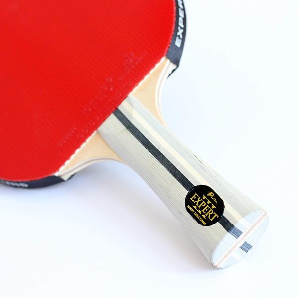 Palio Expert 3.0 Table Tennis Bat & Case - ITTF Approved,  Ping Pong Racket - Image 2