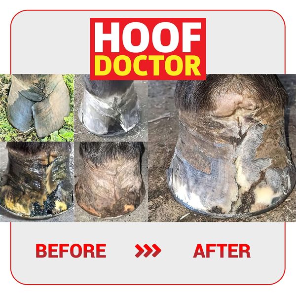 Hoof Doctor - White Line | Thrush | Abscesses | Quarter Crack | Seedy Toe | Corns and Sole Bruises - 100% All-Natural Hoof Care Product - Birch Bark Extract, Betulin, Omega-3 with Vits A & D (16 Oz) - Image 6