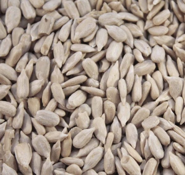 Maltbys' Stores 1904 Limited Sunflower Hearts 5kg Premium Wild Bird Food Seed - Image 5