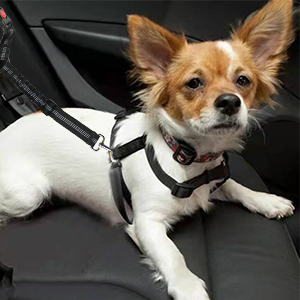 dog car harness seat belt