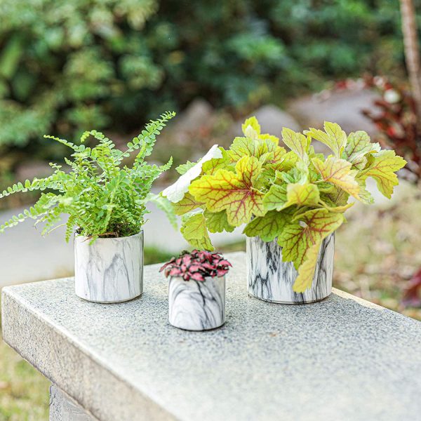 Marbling Ceramic Plant Pot Set of 3, Cylinder Black White Marbling Succulent Planter with Drainage, 6CM/8CM/10CM Stylish Flower Planter Holder Perfect for Cactus Herb Indoors Outdoors - Image 7