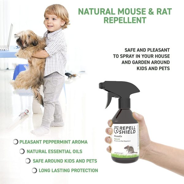 RepellShield Mouse Repellent Spray & Rat Deterrent - A Peppermint Oil Spray: A Natural Mice Repellent & Rat Repellent - Peppermint Spray for Rats - Alternative to Mouse Traps or Mouse Poison, 250ml - Image 7