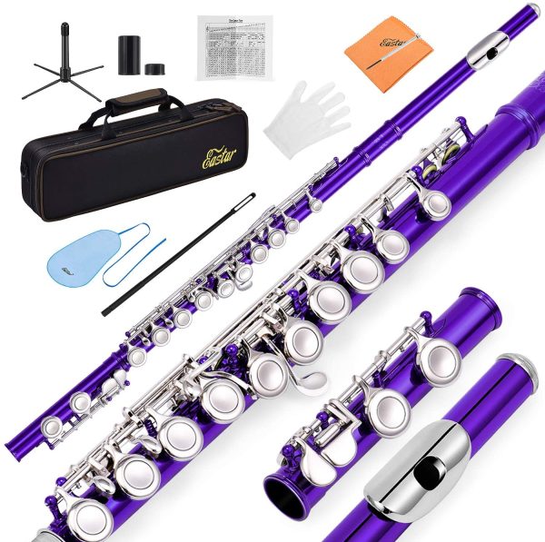 Eastar Flute Closed Hole 16 Key C Nickel Plated Beginner Flute Set With Carrying Case Stand Gloves Cleaning Rod and Cloth,Purple(EFL-1Pu??