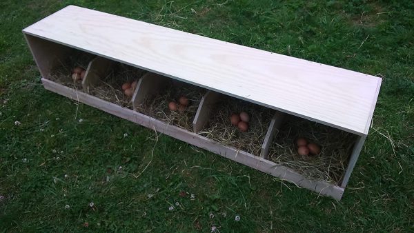 Chicken nest box nesting box hends birds poultry - Image 2