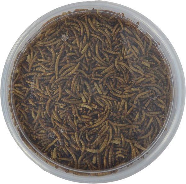 Dried Mealworms for Wild Birds, 3 Litre Bucket, High Energy Protein Rich Treat For Garden Birds, Attract More Birds To Your Garden, Quality Wild Bird Food. - Image 3