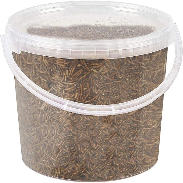 Premium Dried Mealworms, 5 Litre Tub