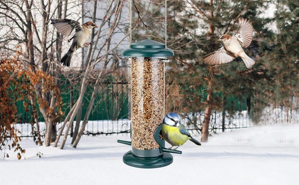 iBorn Bird Feeder Hanging Wild Bird Seed Feeder for Mix Seed Blends, Niger Seed Feeder, Sunflower Heart, Birdbath, Heavy Duty All Metal Green Finishing, Green 8 Inch - Image 8