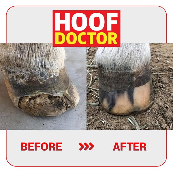 Hoof Doctor - White Line | Thrush | Abscesses | Quarter Crack | Seedy Toe | Corns and Sole Bruises - 100% All-Natural Hoof Care Product - Birch Bark Extract, Betulin, Omega-3 with Vits A & D (16 Oz)