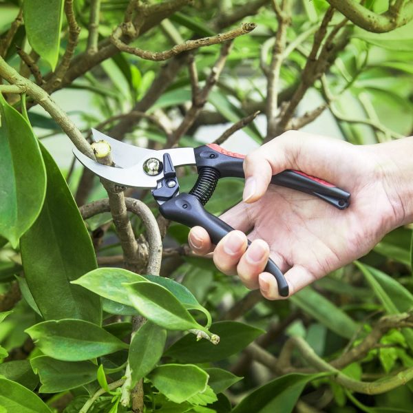 JEOutdoors ZEM Pruning Shears, Professional High Carbon Alloy Steel Sharp Blade Bypass Hand Pruner, Tree Trimmer, Garden Shears-JO0001, Black red