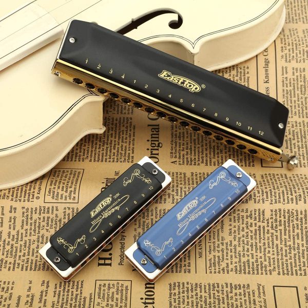 East top 10 Holes 20 Tones 008K Diatonic Harmonica Key of A with Blue Case, Standard Harmonicas For Adults, Professional Playerand Students - Image 2