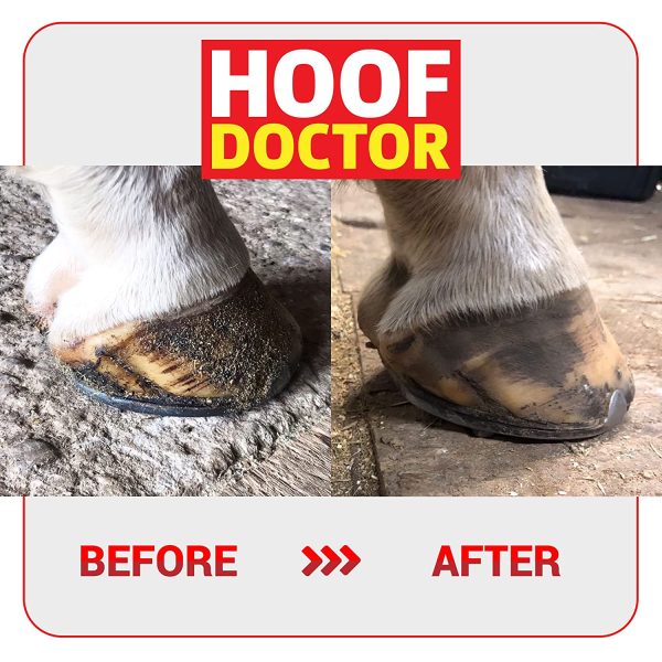 Hoof Doctor - White Line | Thrush | Abscesses | Quarter Crack | Seedy Toe | Corns and Sole Bruises - 100% All-Natural Hoof Care Product - Birch Bark Extract, Betulin, Omega-3 with Vits A & D (16 Oz) - Image 2