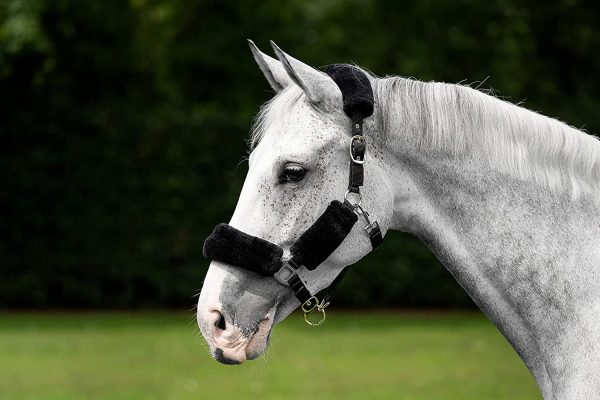 LeMieux Comfort Horse Headcollar with Soft Fleece Lining, Adjustable Metal Fastenings and Noseband - Image 3