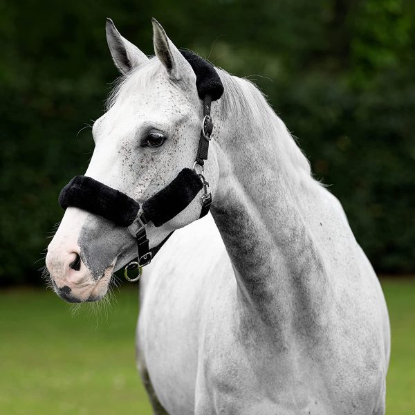 LeMieux Comfort Horse Headcollar with Soft Fleece Lining, Adjustable Metal Fastenings and Noseband - Image 5