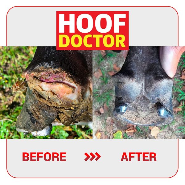 Hoof Doctor - White Line | Thrush | Abscesses | Quarter Crack | Seedy Toe | Corns and Sole Bruises - 100% All-Natural Hoof Care Product - Birch Bark Extract, Betulin, Omega-3 with Vits A & D (16 Oz) - Image 4