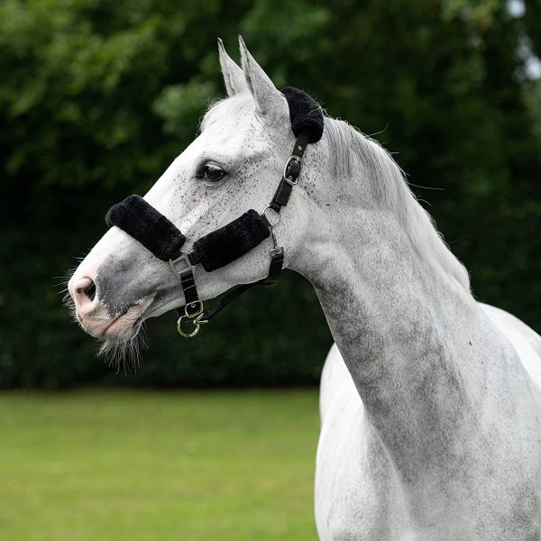 LeMieux Comfort Horse Headcollar with Soft Fleece Lining, Adjustable Metal Fastenings and Noseband - Image 4