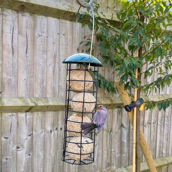 Bird Feeder With 4 Suet Balls Included - Plastic Outdoor Hanging Feeders for Garden Birds Feeding - Attracting Tits, Finches, Robins, Sparrows & many more Wild Birds - Image 4