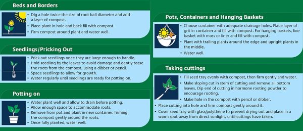 Gro-sure 11200018 All Purpose Compost with 4 Months Plant Feed, 10 Litre - Dark