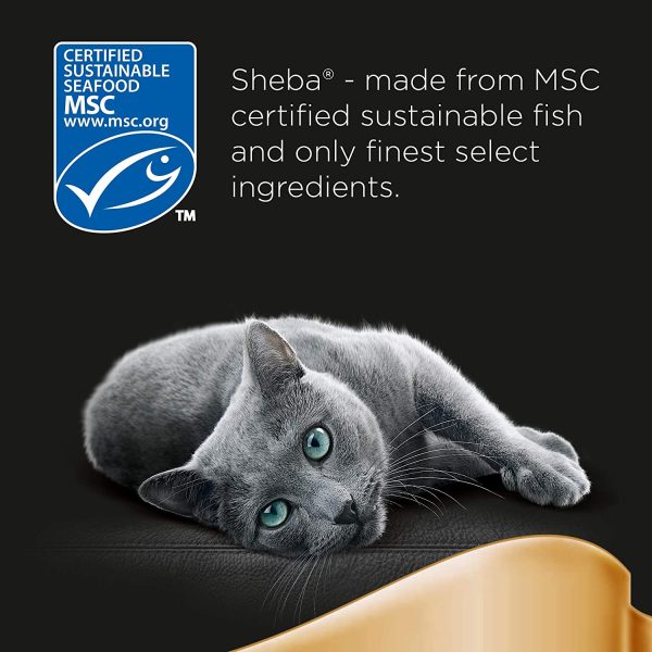 Sheba Select Slices in Gravy ?C Fish Collection ?C Wet cat food pouches for adult cats ?C 12 x 85g pack - Image 2