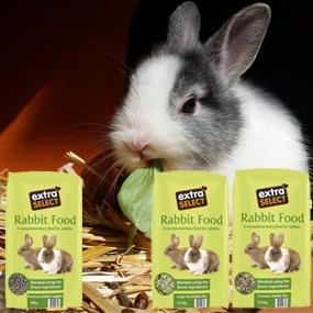 rabbit, straw, hay, food, mix, pellets, nuggets